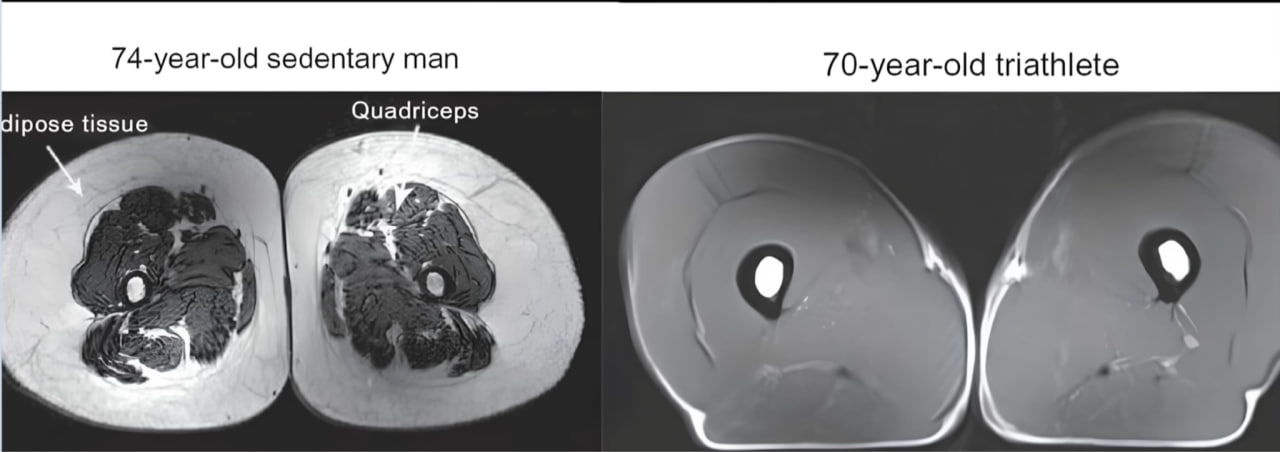 photo_2025-10-21_03-53-19